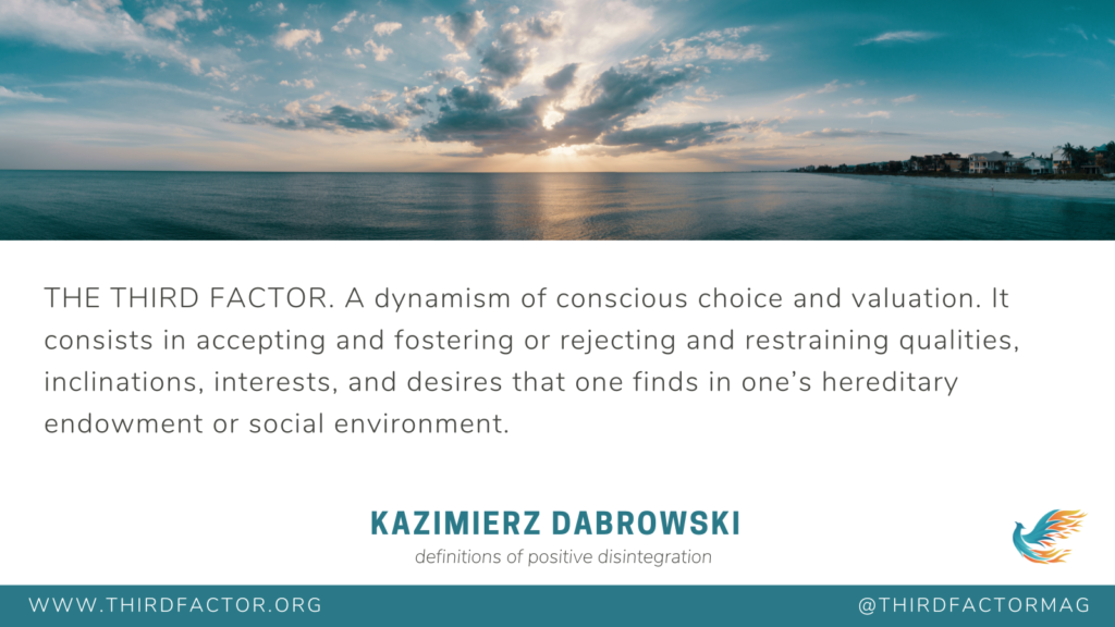 THE THIRD FACTOR. A dynamism of conscious choice and valuation. It consists in accepting and fostering or rejecting and restraining qualities, inclinations, interests, and desires that one finds in one’s hereditary endowment or social environment.